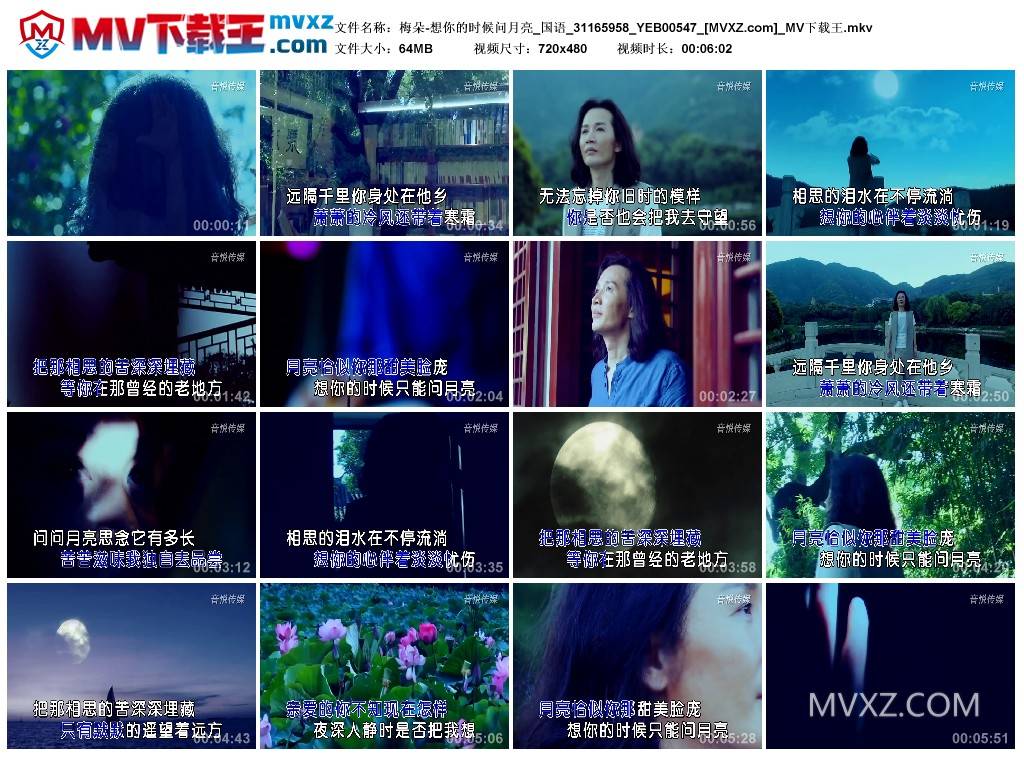 梅朵-想你的时候问月亮_国语_31165958_YEB00547